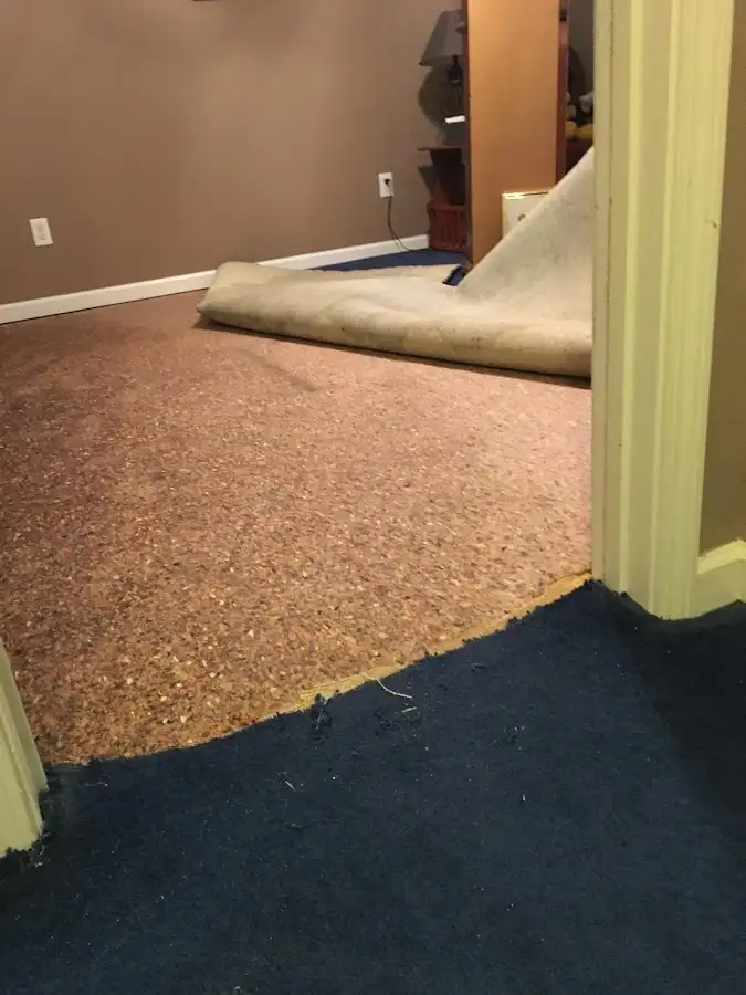 Carpet pad removal revealing water damage during Drying & Dehumidification in Center Line