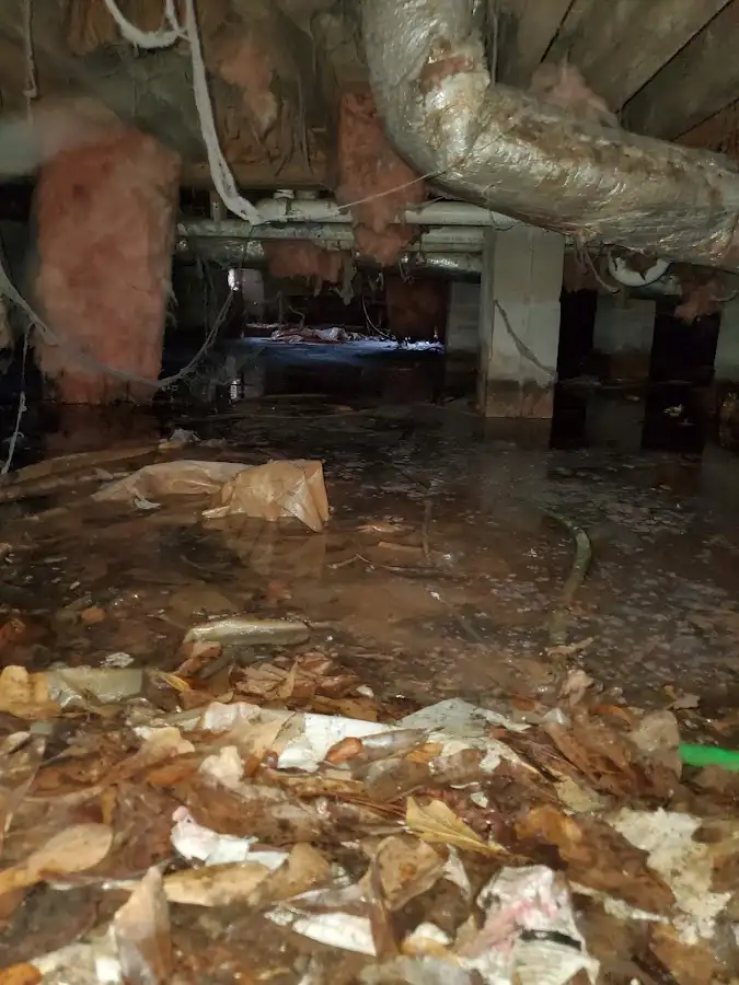Crawl space flood assessment for Leak Detection & Repair in Center Line