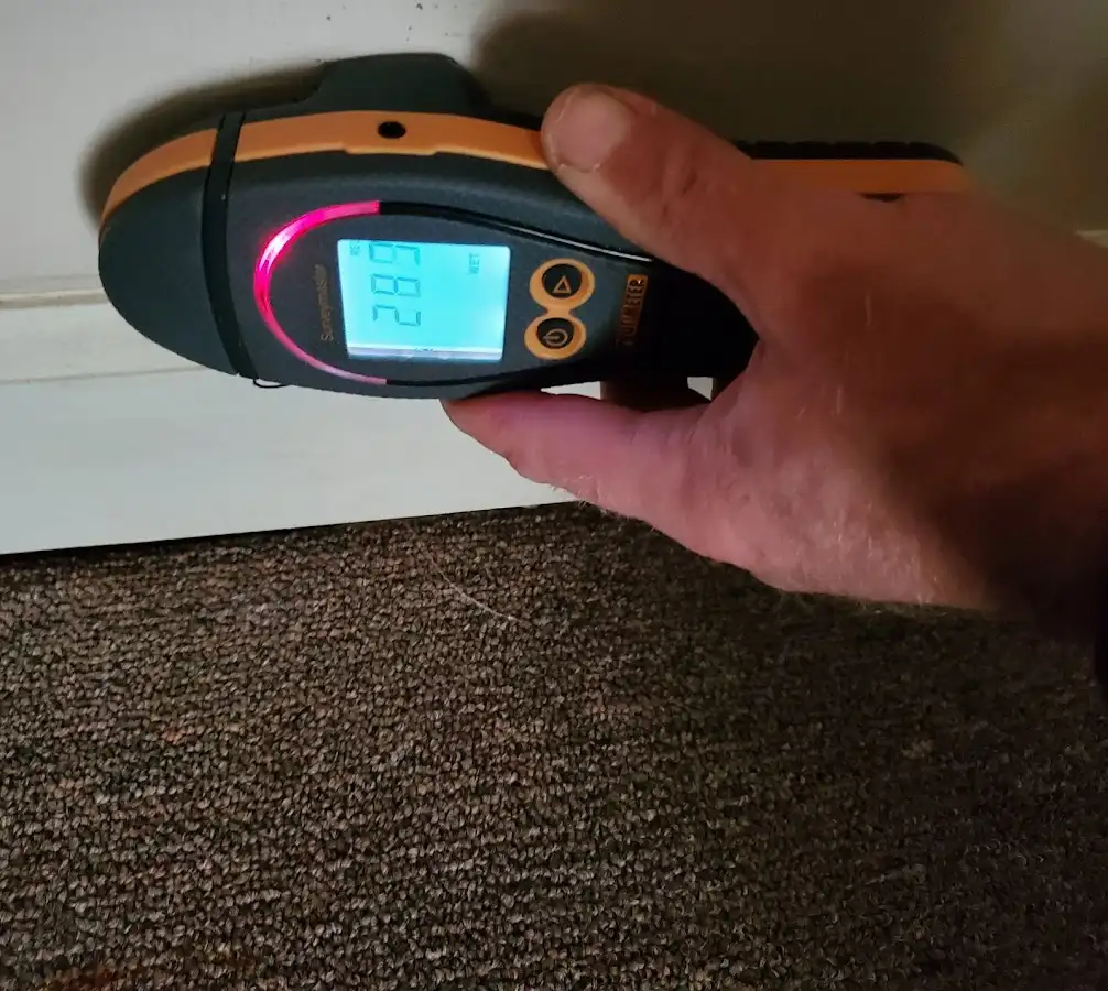 Moisture detection at baseboard during Mold Inspection & Testing in Center Line
